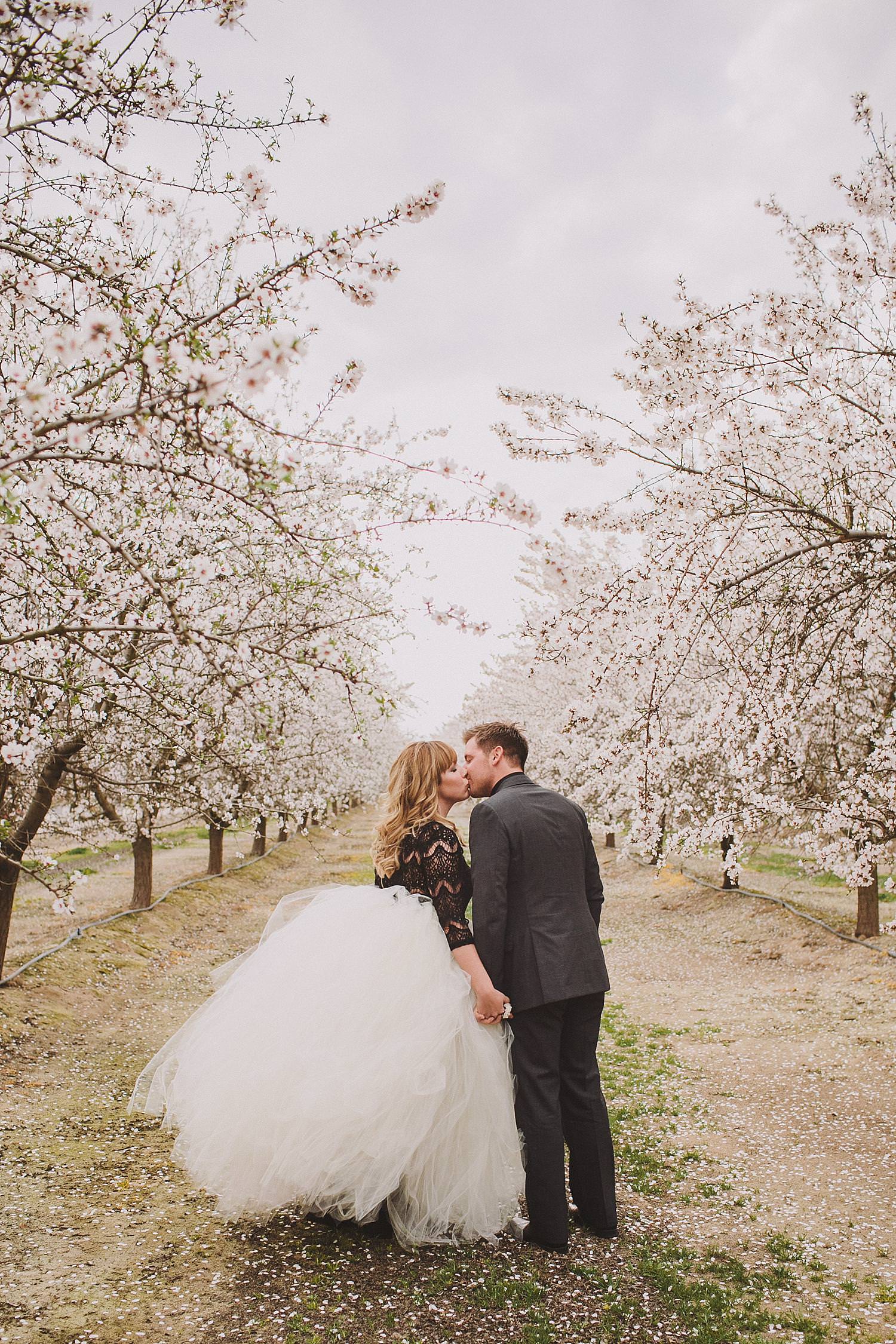 Almond orchard wedding photo ideas
