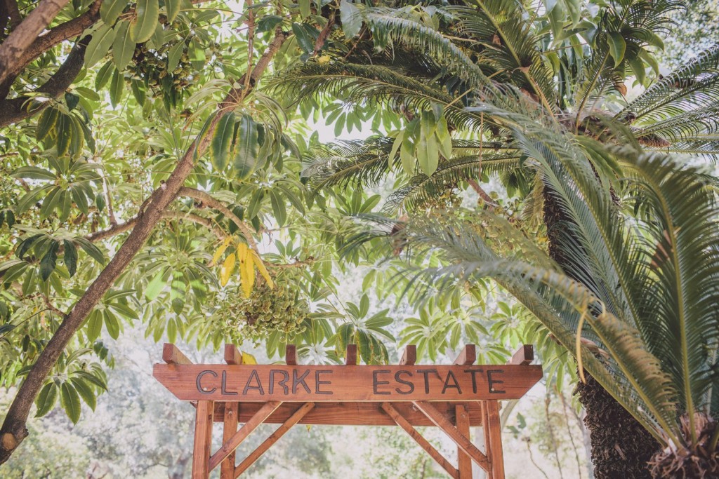Clarke Estate wedding photographer