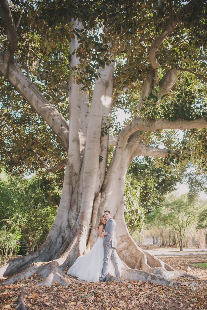 Clarke Estate wedding