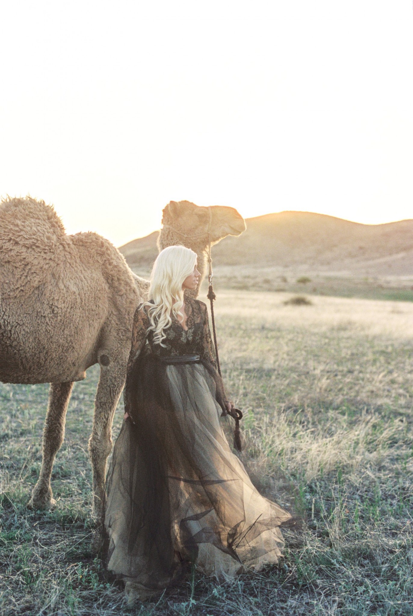 camel wedding ideas