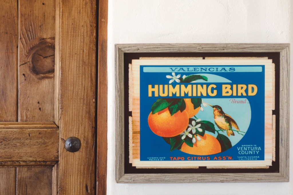 Hummingbird Nest Ranch wedding