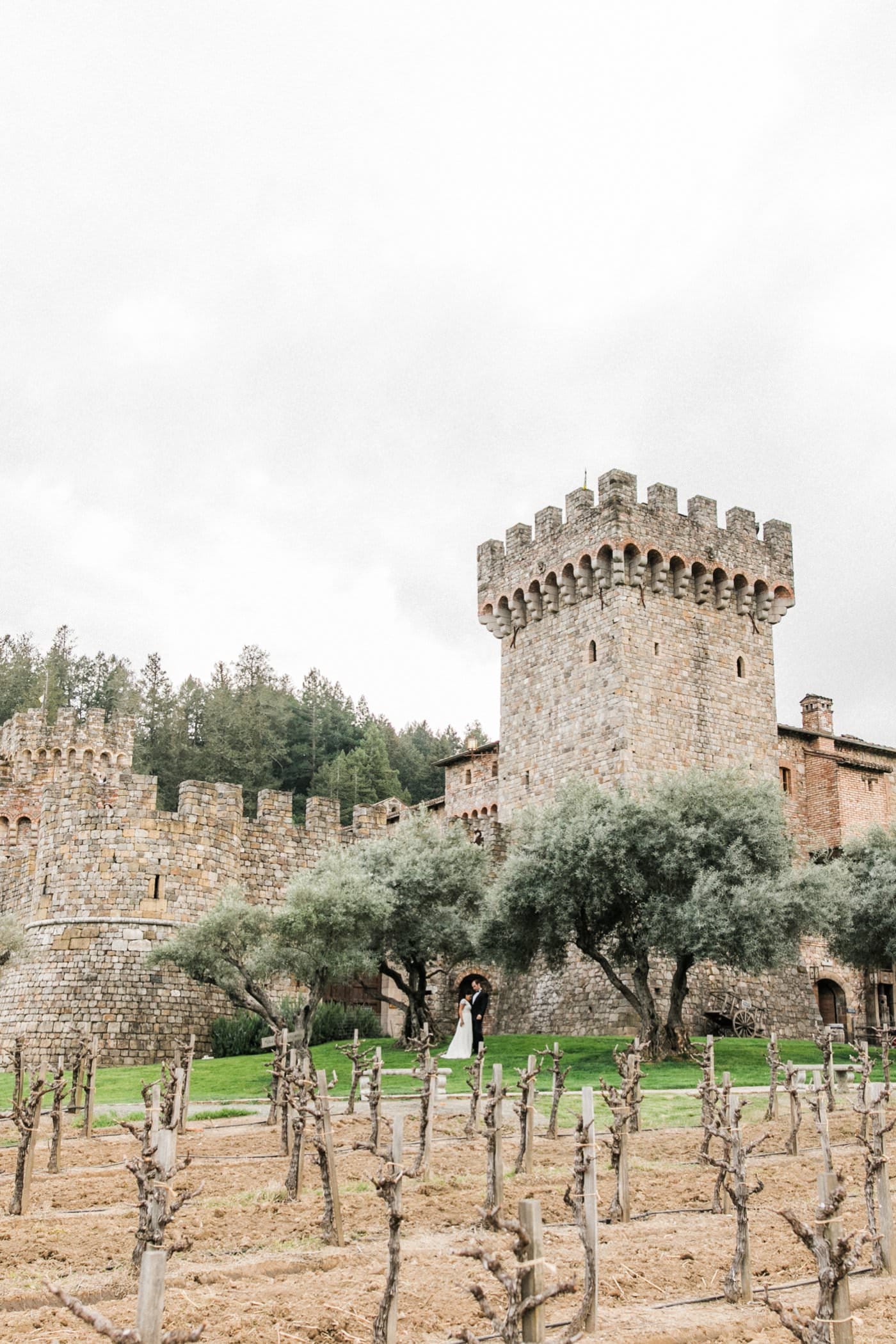 Castello di Amorosa engagement photos