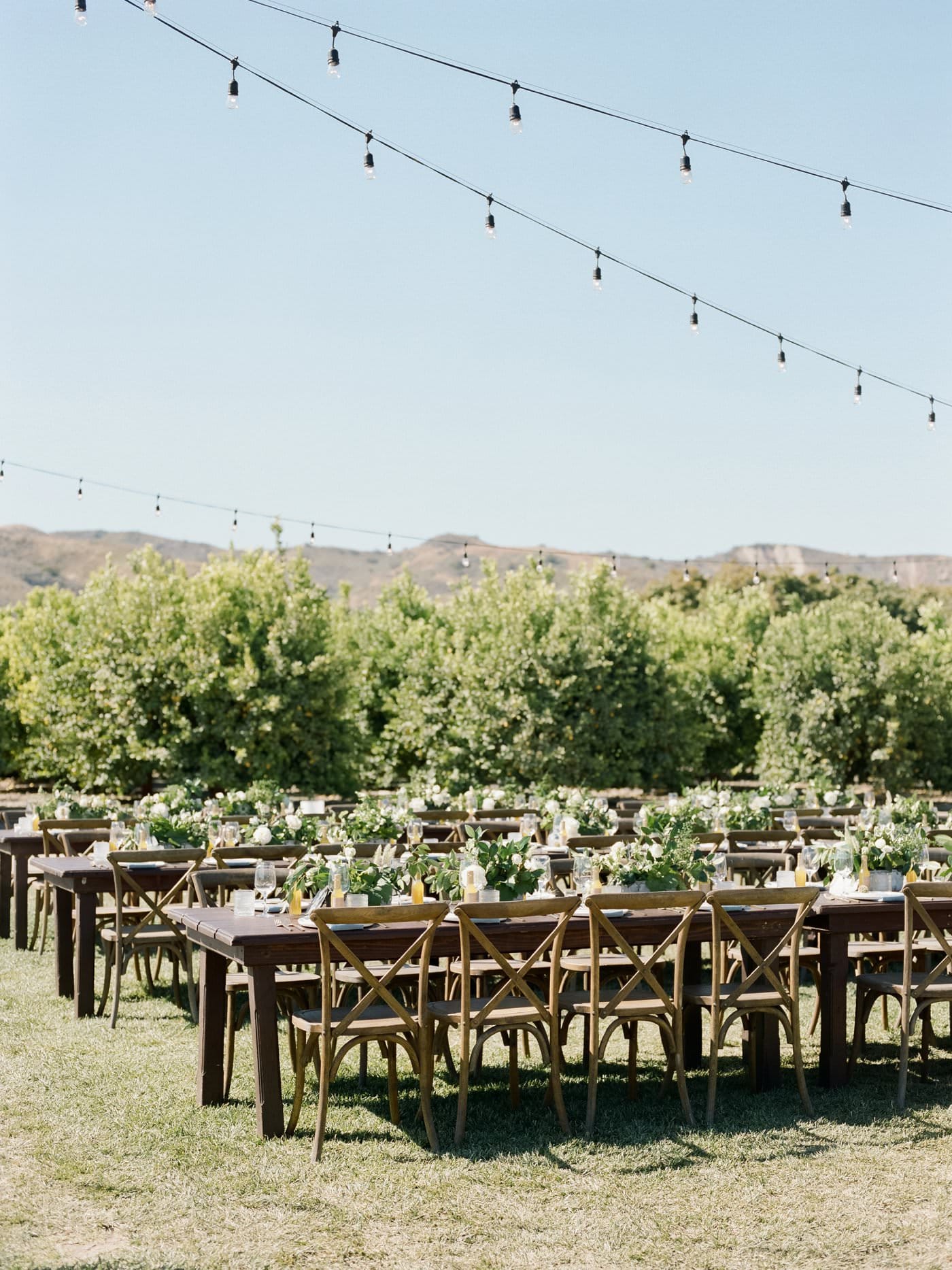 Limoneira Ranch wedding reception photos