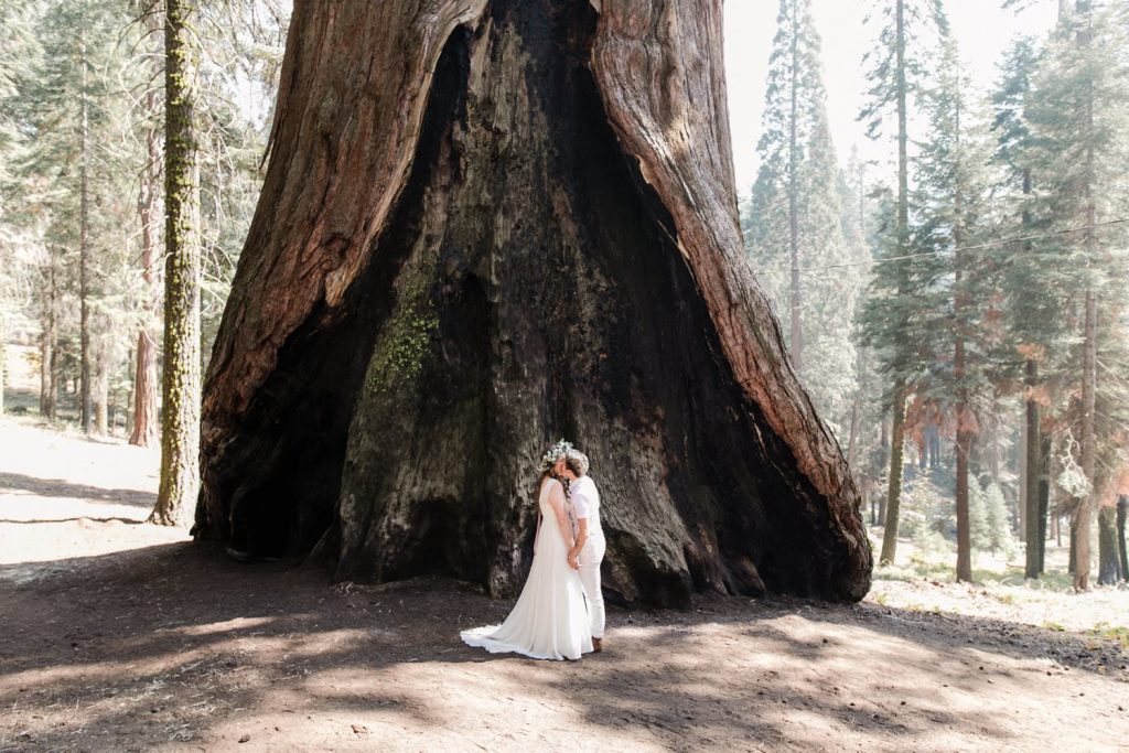 Sequoia National Forest camp wedding