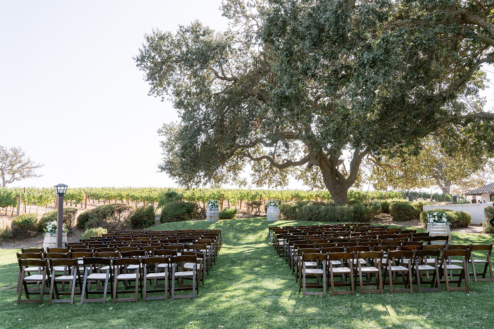 California vineyard wedding ceremony