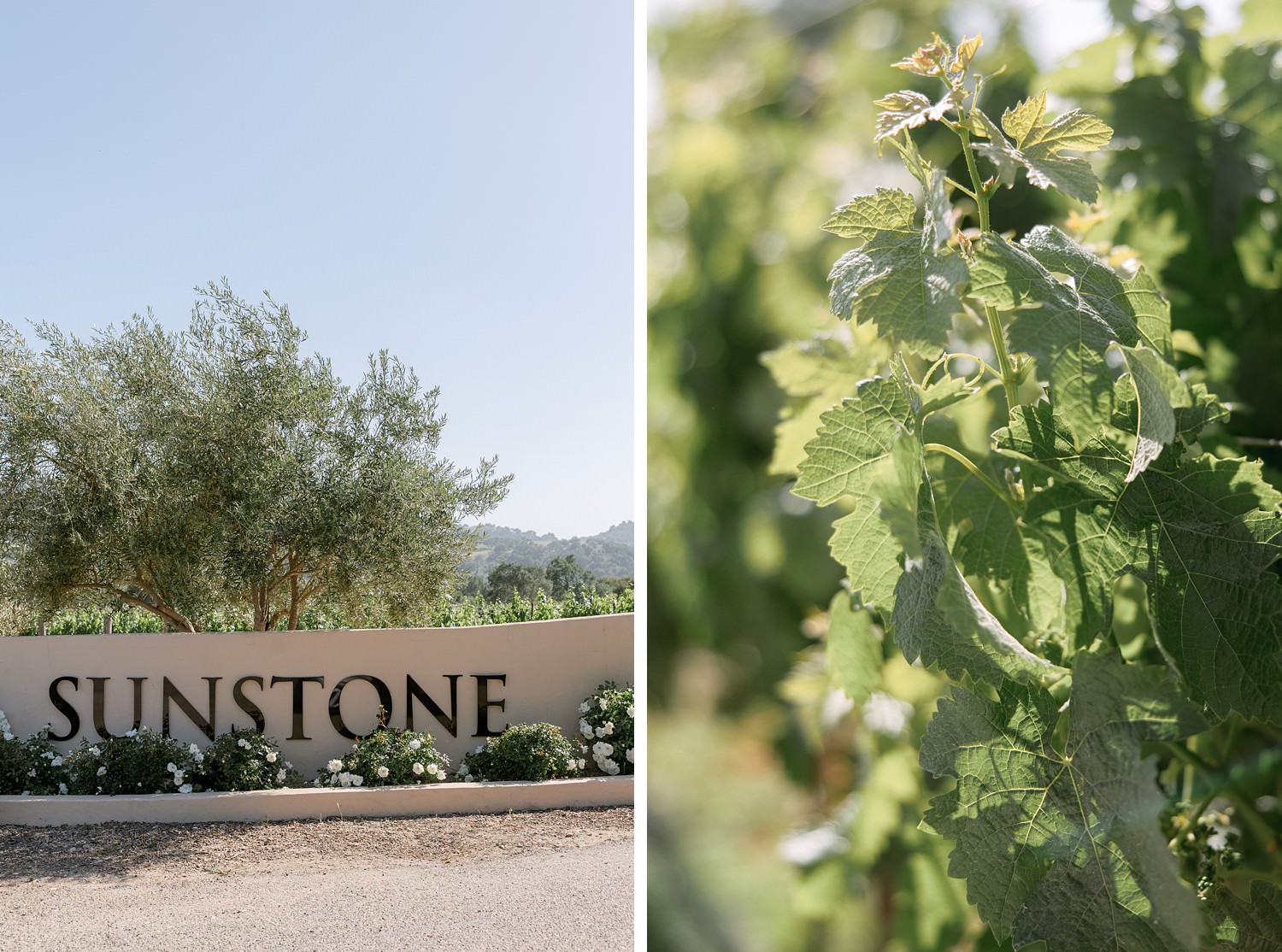 Sunstone Villa wedding