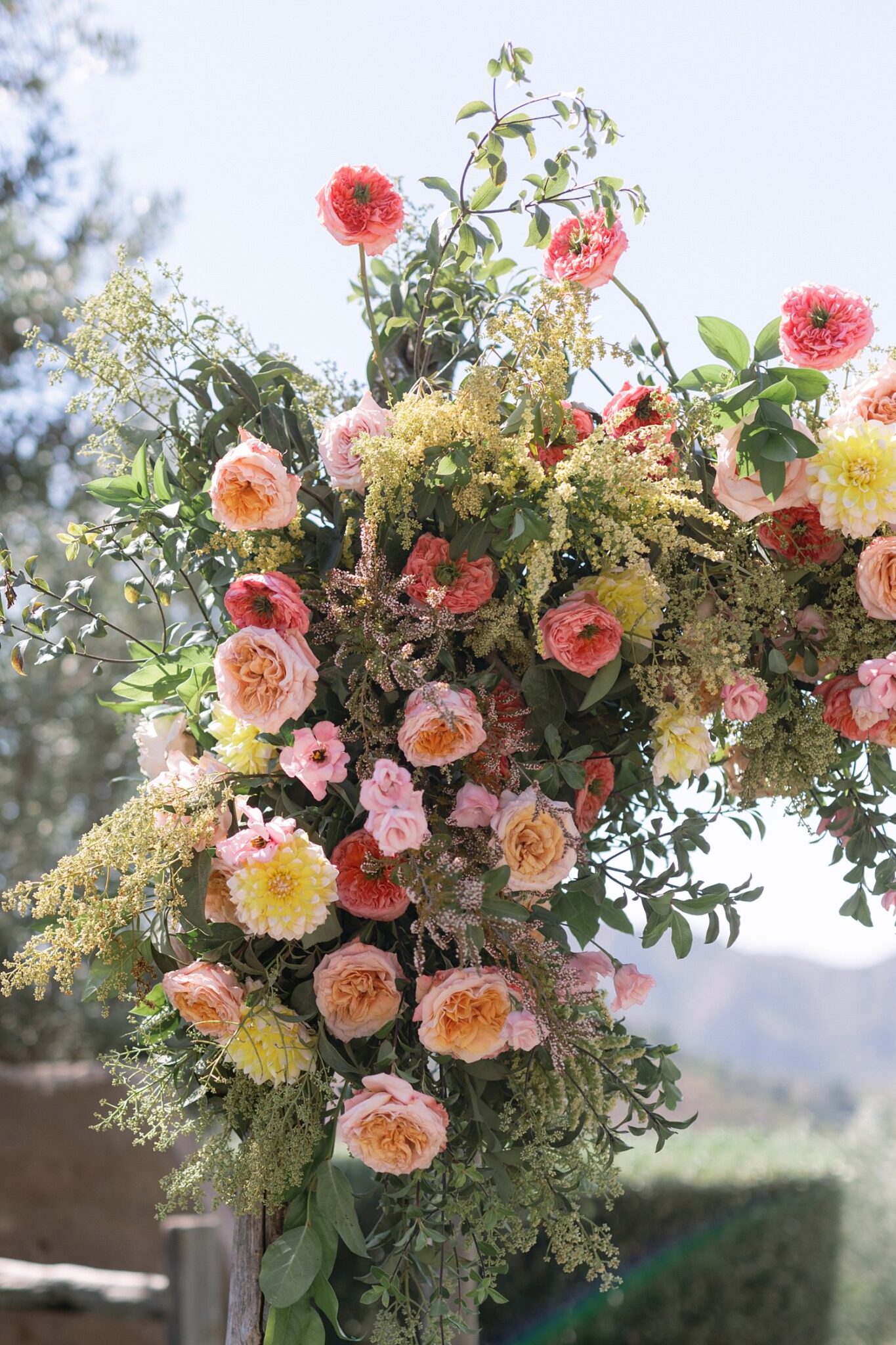 Cielo Farms wedding ceremony photos